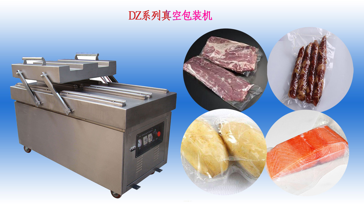 支點(diǎn)自動(dòng)化設(shè)備（濰坊）有限公司 dz系列真空包裝機(jī)